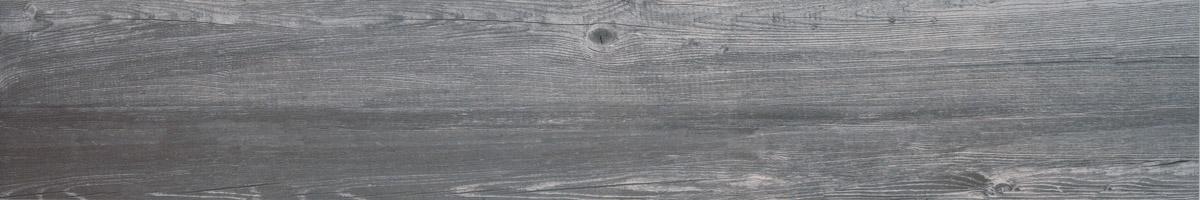 2515004-Larix.jpg